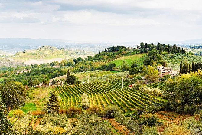 Private Day Trip to Orvieto and Umbria Region From Rome - Common Questions