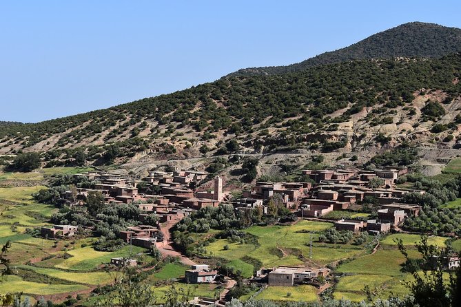 Private Day Trip to Ourika Valley and Atlas Mountains - Booking Details