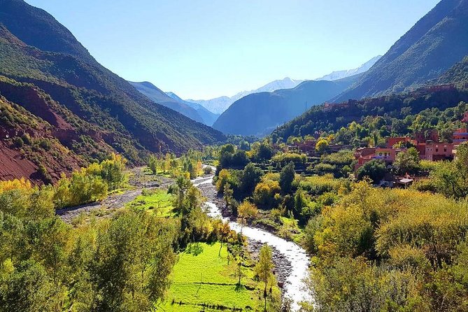 Private Day Trip To Ourika Valley With Lunch From Marrakech - Tour Highlights