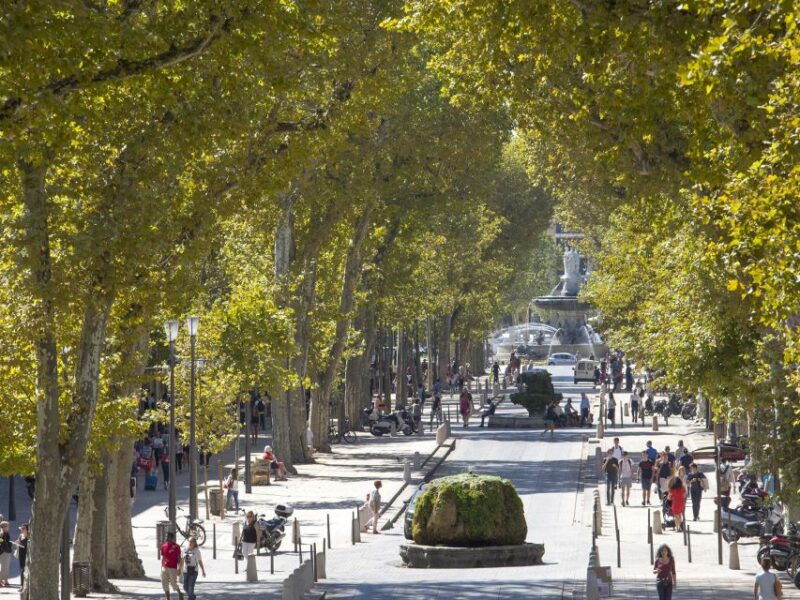Private Day Trip to Provence and Lavender Fields - Itinerary Highlights
