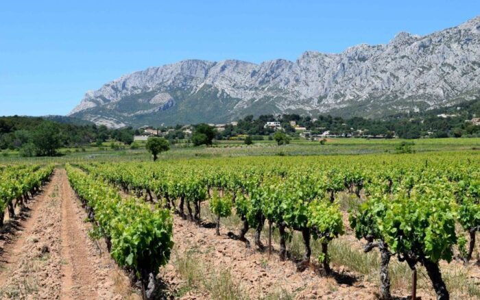 Private Day Trip to Provence and Lavender Fields - Customer Feedback and Ratings