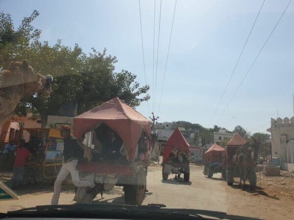Private Day Trip to Pushkar From Jaipur - Frequently Asked Questions