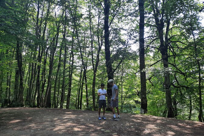 Private Day Trip to Sabaduri Forest - Inclusions