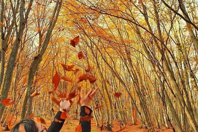 Private Day Trip to Sabaduri Forest - Cancellation Policy