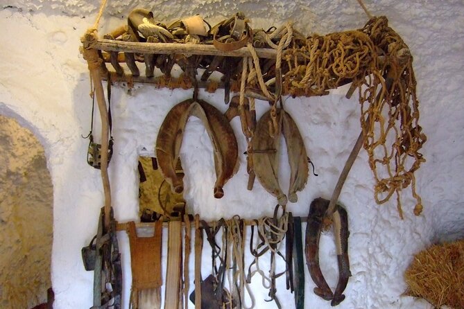 Private Day Trip to Sacromonte Caves From Granada With a Local - Experience the Spectacular Views of Granada From Sacromonte