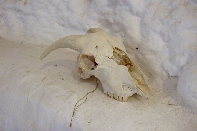 Private Day Trip to Sacromonte Caves From Granada With a Local - Common Questions