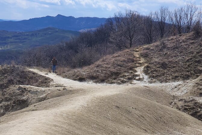 Private Day Trip to Salt Mine and Muddy Volcanoes From Bucharest - Booking Information