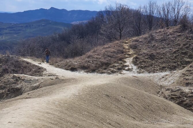 Private Day Trip to Salt Mine and Muddy Volcanoes From Bucharest - Frequently Asked Questions