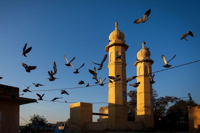 Private Day Trip to Shekhawati & Mandawa From Jaipur - Additional Information