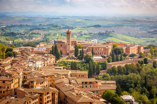 Private Day Trip to Siena, San Gimignano, Chianti and Pisa, From Florence - Traveler Reviews