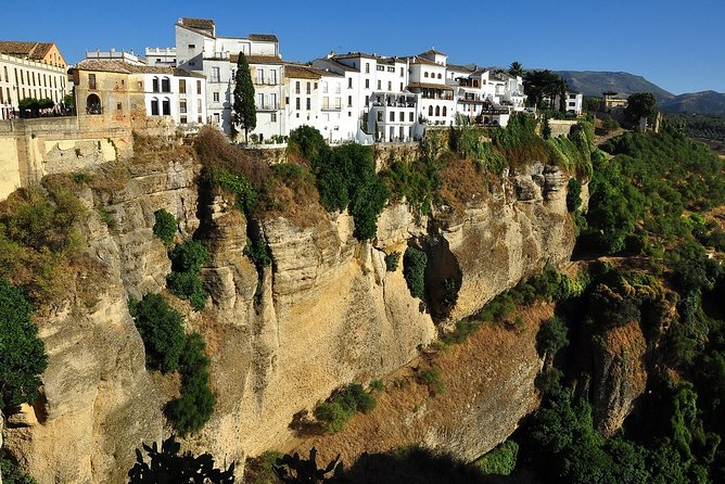 Private Day Trip to Soaring Over the Abyss Ronda City & the White Village Mijas - Group Size and Pricing Options