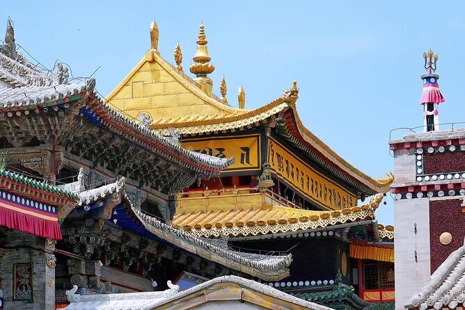 Private Day Trip to Taer Monastery and Lake Kokonor - Exploring Qinghai’s Spirit and Scenery: A Review of the Private Day Trip to Taer Monastery and Lake Kokonor