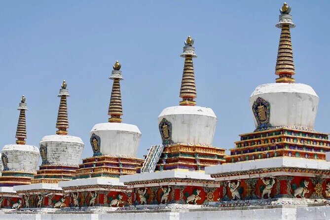 Private Day Trip to Taer Monastery and Lake Kokonor - Who Will Love This Tour?