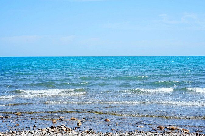 Private Day Trip to Taer Monastery and Lake Kokonor - The Sum Up