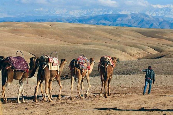 Private Day Trip to the Agafay Desert and the Atlas Mountains - Itinerary Details
