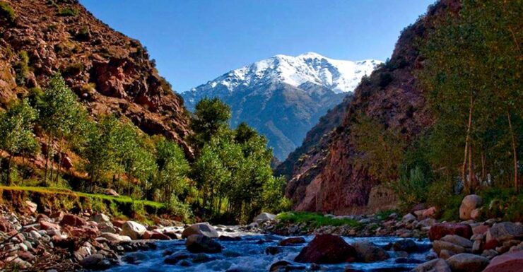 Private Day Trip to the Atlas Mountain & Ourika Valley - Activity Details
