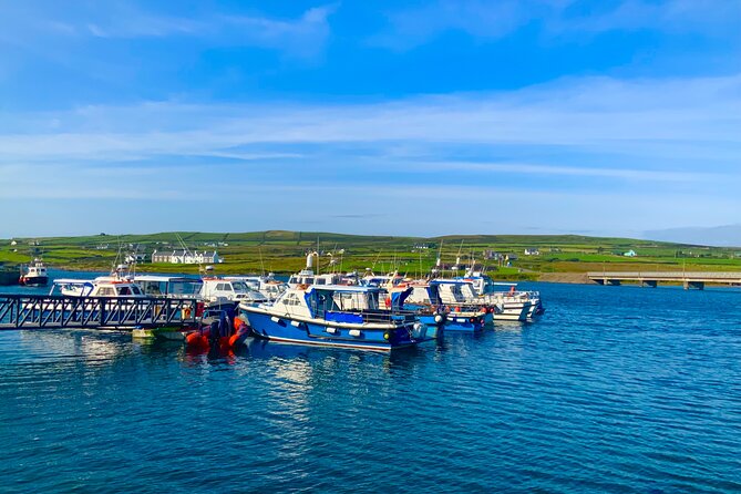 Private Day Trip to the Cliffs of Moher From Dublin - Pickup and Cancellation Policies