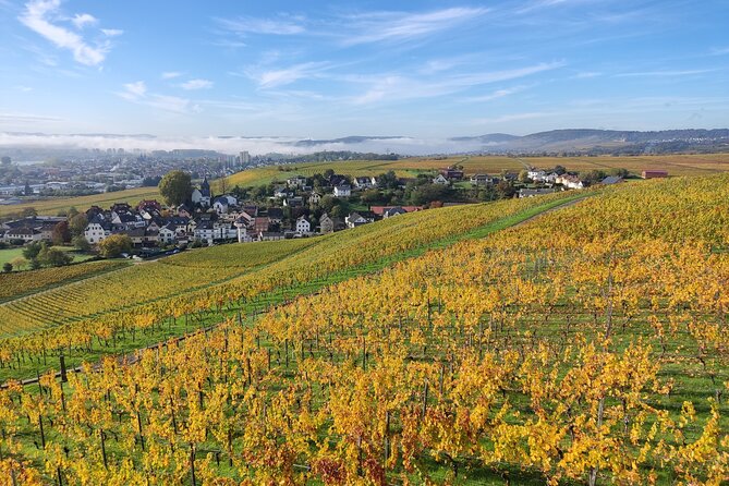 Private Day Trip to the Romantic Rhine Valley With River Cruise and Wine Tasting - Customer Feedback