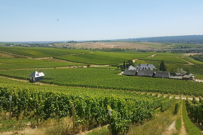 Private Day Trip to the Romantic Rhine Valley With River Cruise and Wine Tasting - Pricing