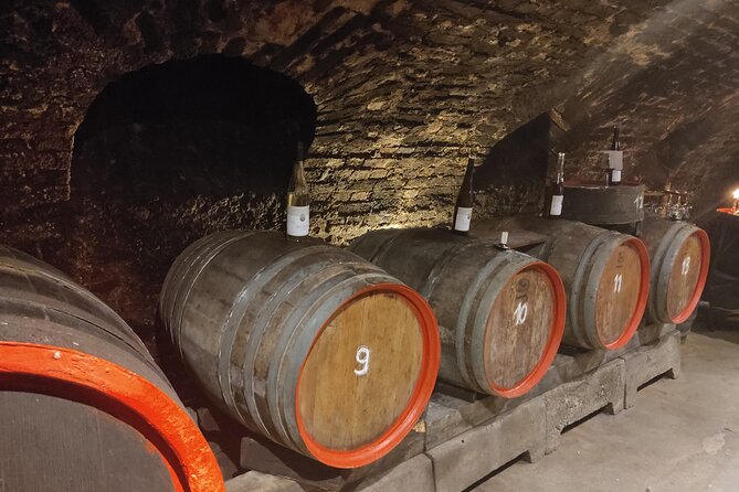 Private Day Trip to the Romantic Rhine Valley With River Cruise and Wine Tasting - Common Questions