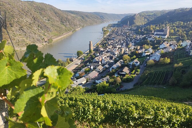 Private Day Trip to the Romantic Rhine Valley With River Cruise and Wine Tasting - The Sum Up
