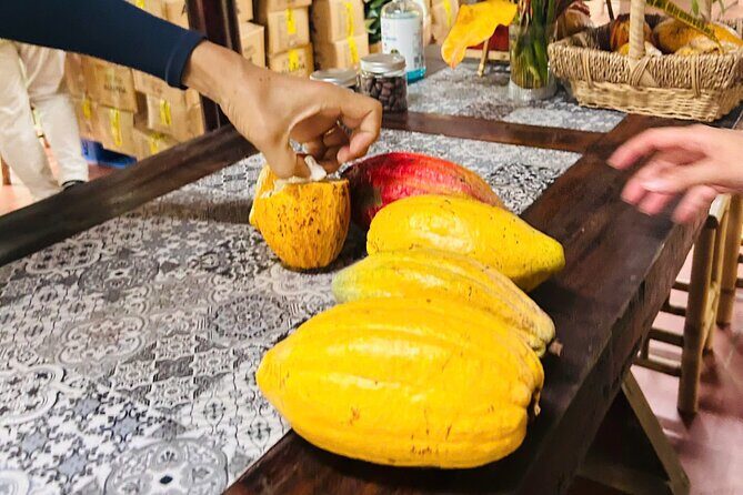 Private Day Trip to the Untouched Mekong in Go Cong - Practical Considerations and Value