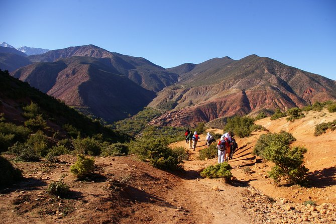 Private Day Trip to the Zat Valley From Marrakech. - Reviews