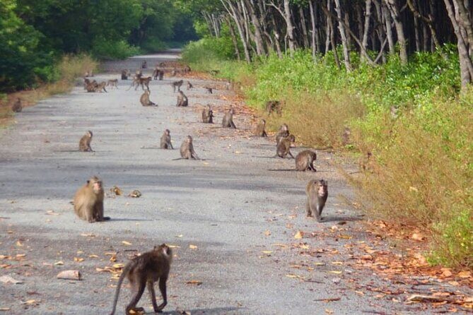 Private Day Trip to Vàm Sát Eco Forest From HCM or Phu My port - Final Thoughts