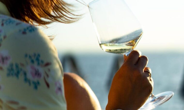 Private Day Trip to Viennese Countryside with Wine Tasting - Who Should Consider This Tour