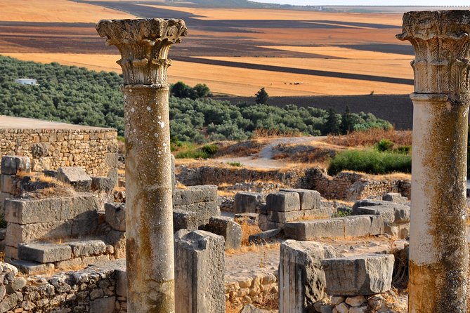 Private Day Trip to Volubilis Meknes and Moulay Driss From Fez - Pickup and Cancellation Policy