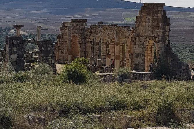 Private Day Trip to Volubilis, Moulay Idriss, and Meknes From Fez (Fes) - Historical Significance