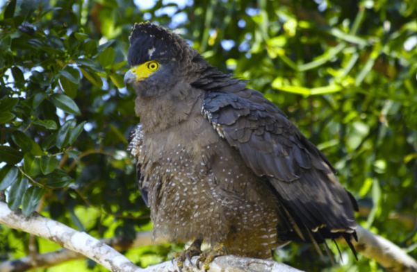 Private Day Trip to Wilpaththu National Park From Colombo - Nearby Attractions