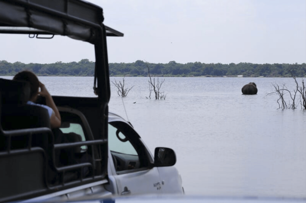 Private Day Trip to Wilpaththu National Park From Colombo - Frequently Asked Questions