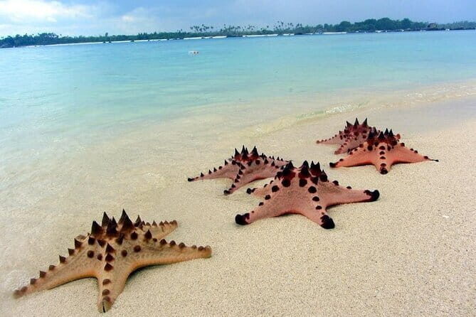 Private Day Trip Tour To Secret Gilis - Authentic Experiences and What Travelers Loved