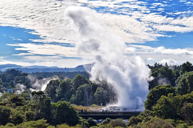 Private Day Trip Transport To Rotorua - Whats Included