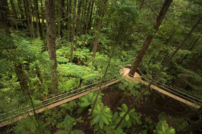Private Day Trip Transport To Rotorua - The Sum Up