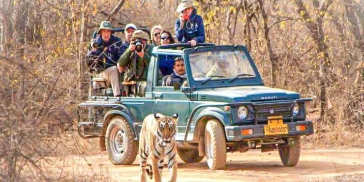 Private Day Trip With Tiger Safari From Jaipur All Included - Cancellation Policy