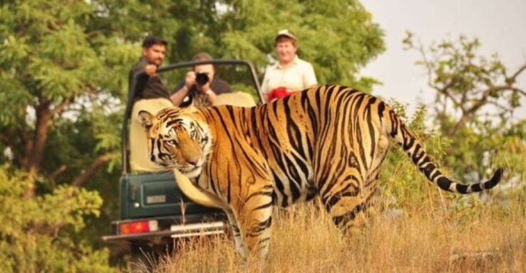 Private Day Trip With Tiger Safari From Jaipur All Included - Reservation and Payment