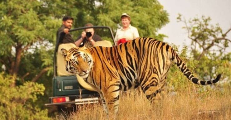 Private Day Trip With Tiger Safari From Jaipur All Included - Reservation and Payment