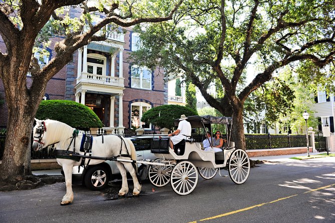 Private Daytime or Evening Horse-Drawn Carriage Tour of Historic Charleston - Meeting and Pickup Information