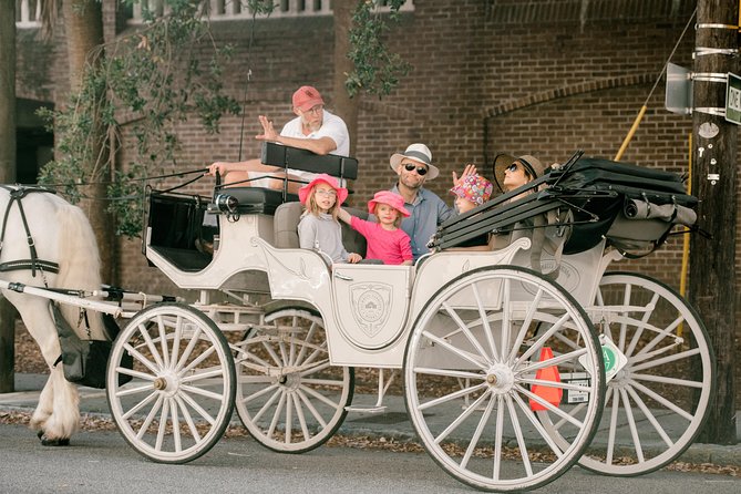 Private Daytime or Evening Horse-Drawn Carriage Tour of Historic Charleston - What to Expect on the Tour