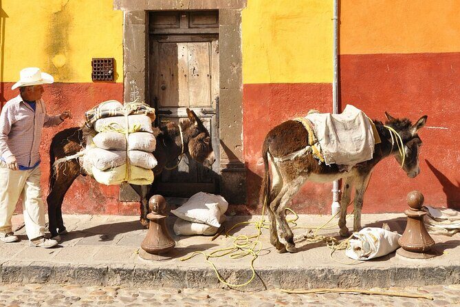 Private DayTrip Guanajuato City to San Miguel de Allende and back - Final Thoughts: Is It Worth It?