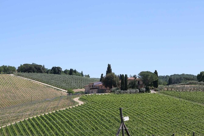 Private Daytrip to Siena & Chianti Wine Country, With Wine Tasting From Florence - Whats Included
