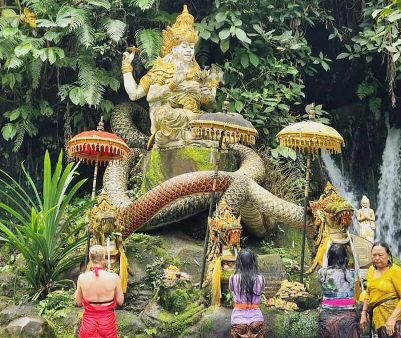 private daytrip:jatiluwih,purification ceremony,waterfalls - An In-Depth Look at the Tour Experience
