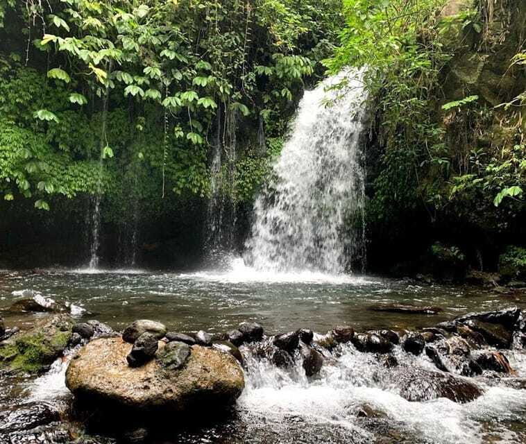 private daytrip:jatiluwih,purification ceremony,waterfalls - Why This Tour Offers Great Value