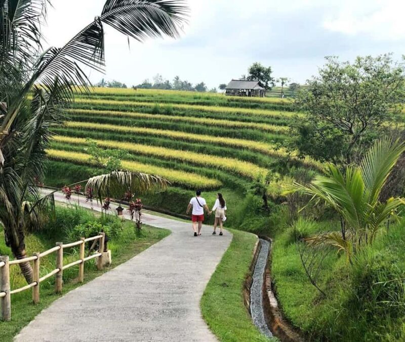 private daytrip:jatiluwih,purification ceremony,waterfalls - Who Is This Tour Best For?