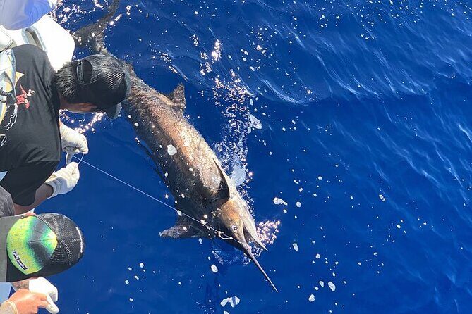 Private Deep Sea Full-Day Fishing Charter in Hawaiian Waters - The Sum Up