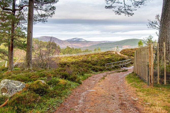 Private Deeside Walking Tour to Kings Secret Retreat & Castle/Distillery Visit - Cancellation Policy