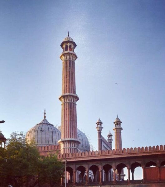 Private Delhi City Sightseen Tour Including New & Old Delhi - The Sum Up