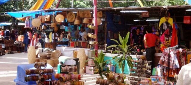 Private Delhi Shopping Tour - Tour Details